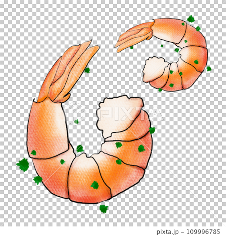 The Shrimp drawing png image for food concept The Shrimp drawing png image for food concept 109996785