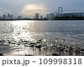 お台場レインボーブリッジ 109998318