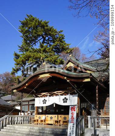 布多天神社（東京都調布市） 109999154
