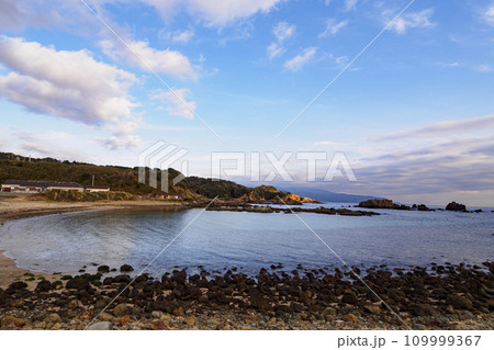 伊豆半島の静岡県下田市爪木崎の冬（アロエ・スイセン） 109999367