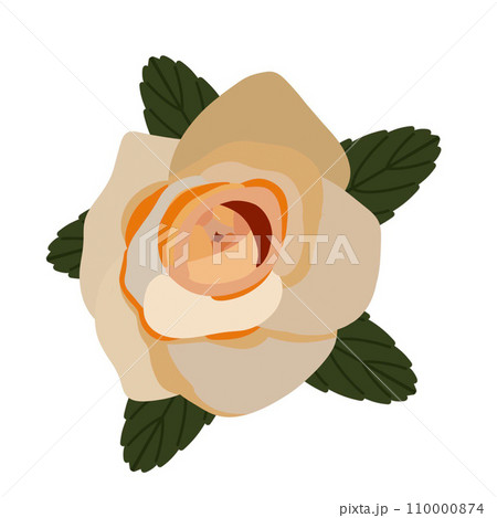 beautiful rose, hand-painted in a beautiful style on a white background 110000874