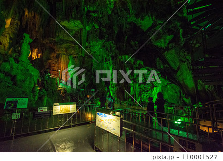 あぶくま洞（鍾乳洞） 110001527