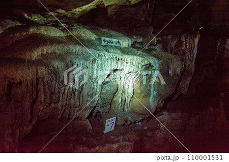 あぶくま洞（鍾乳洞） 110001531