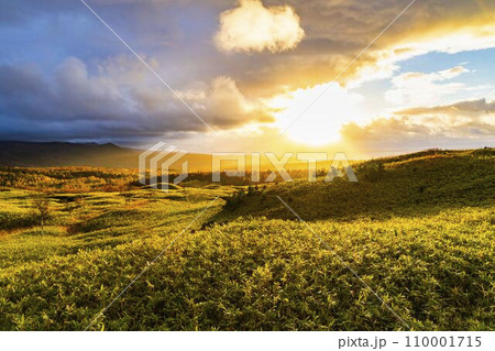 知床五胡フィールドハウス　高架木道から見た知床の夕暮れ　北海道斜里町 110001715
