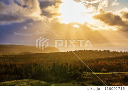 知床五胡フィールドハウス　高架木道から見た知床の夕暮れ　北海道斜里町 110001716