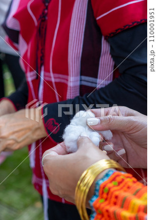 Cotton pile for weaving. 110001951