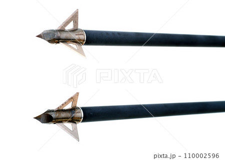 Broadhead Point Hunting Arrowhead Broadhead Point Hunting Arrowhead 110002596