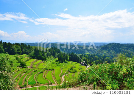 外之沢の棚田（新潟県） 110003181