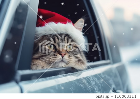 A joyfully ecstatic cat wearing a festive Santa Claus hat, sticking its head out of a moving car window, clearly reveling in the pure bliss of the moment. 110003311