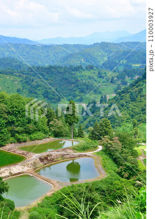 山古志の一本杉（新潟県） 110003927
