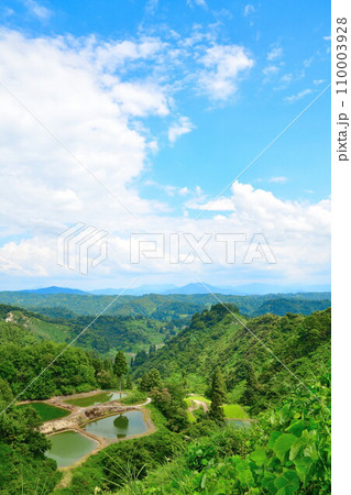 山古志の一本杉（新潟県） 110003928
