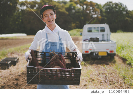 vegetable field 110004492