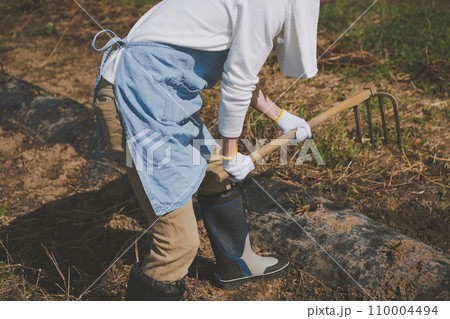 vegetable field 110004494
