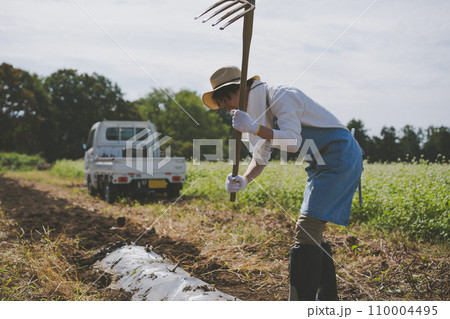 vegetable field vegetable field 110004495