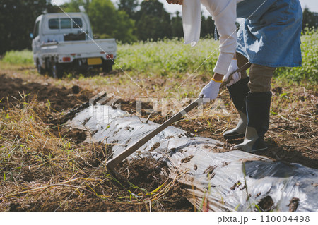 vegetable field 110004498