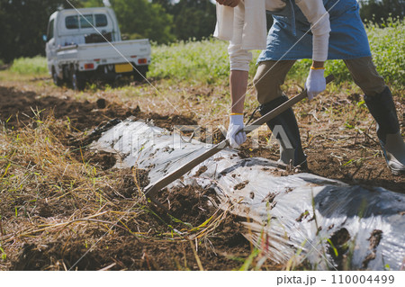 vegetable field 110004499