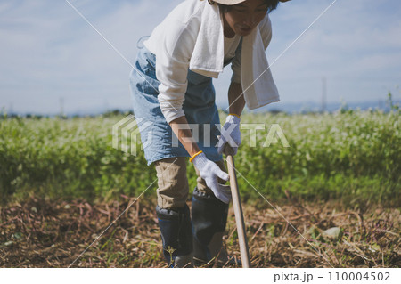 vegetable field 110004502