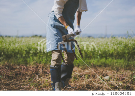 vegetable field 110004503
