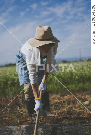 vegetable field 110004506