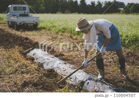 vegetable field 110004507