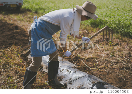 vegetable field 110004508