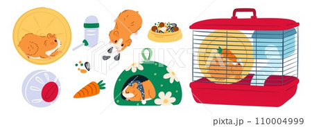 Hamster accessories. Pets cage with feeder and running wheel. Cartoon domestic rodents eat seeds or carrot. Little animals. Drinker and feeding bowl. Vet shop. Garish vector veterinary set 110004999