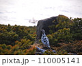 春の雪山雷鳥さん 110005141