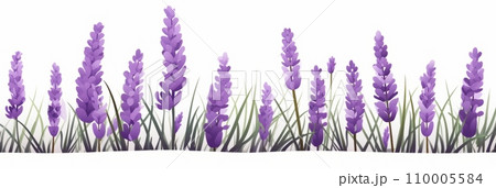 Blooming lavender bouquet 110005584