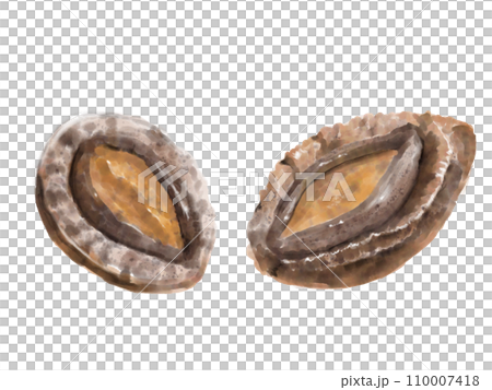 Watercolor abalone 01_1 Watercolor abalone 01_1 110007418