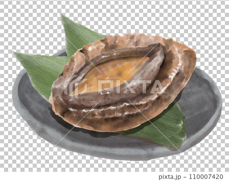 Watercolor abalone 01_3 Watercolor abalone 01_3 110007420