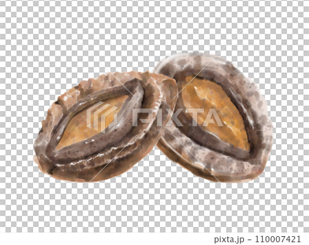Watercolor abalone 01_2 Watercolor abalone 01_2 110007421