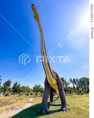 Kaeng Don Klang Park in Kalasin, Thailand 110007846