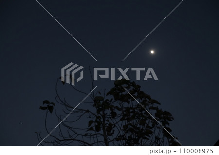 夕空に梢の上の月齢9.7の月光る 110008975