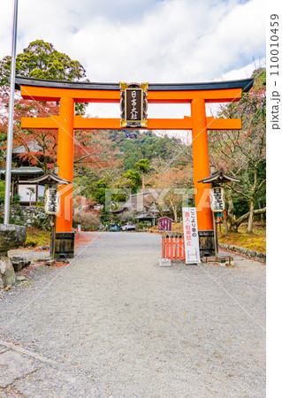 滋賀県大津市坂本の日吉大社 赤鳥居 滋賀県大津市坂本の日吉大社 赤鳥居 110010459