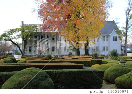 宇都宮大学の秋深まるフランス式庭園 宇都宮大学の秋深まるフランス式庭園 110010971