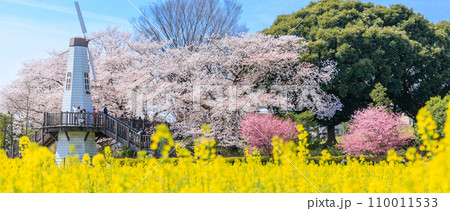 「埼玉県」見晴公園の風車と菜の花畑　さいたま市 110011533