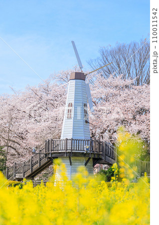 「埼玉県」見晴公園の風車と菜の花畑 さいたま市 「埼玉県」見晴公園の風車と菜の花畑 さいたま市 110011542