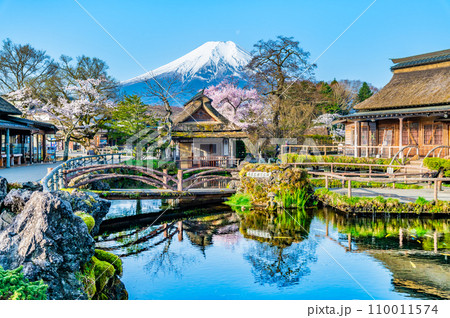 春の忍野八海 110011574