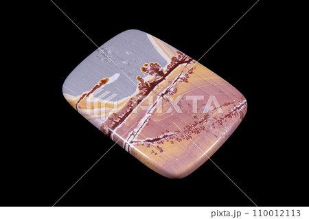 ソノラ・デンドリティック・ライオライト 風景を宿す石 110012113