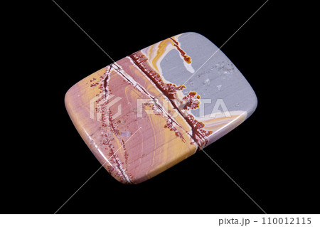 ソノラ・デンドリティック・ライオライト 風景を宿す石 110012115