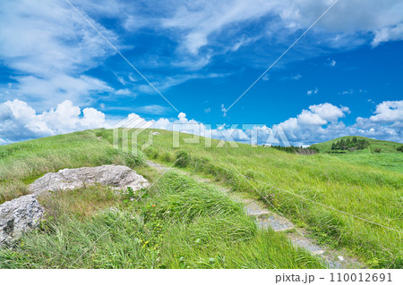 【生石高原】 和歌山県海草郡紀美野町中田 110012691