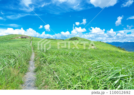 【生石高原】 和歌山県海草郡紀美野町中田 110012692