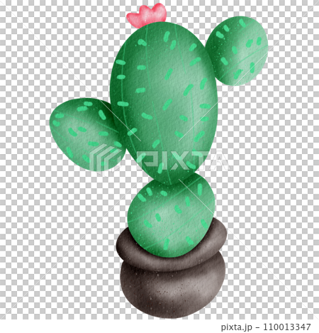 cactus nerd  110013347