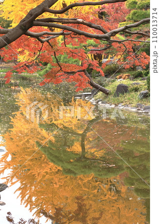 水面に映る紅葉 水面に映る紅葉 110013714