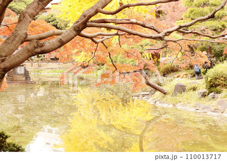 水面に映る紅葉 水面に映る紅葉 110013717