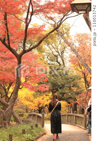 黄色に染まる秋の公園 110013742