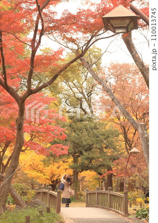 黄色に染まる秋の公園 110013745