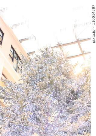 クリスマスツリーの見える風景 110014397