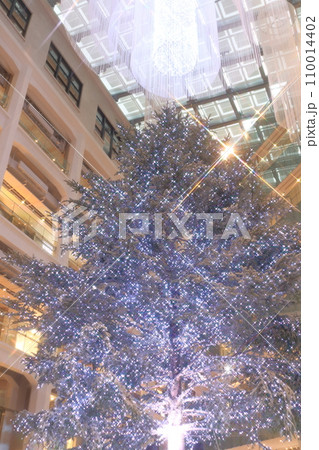クリスマスツリーの見える風景 110014402