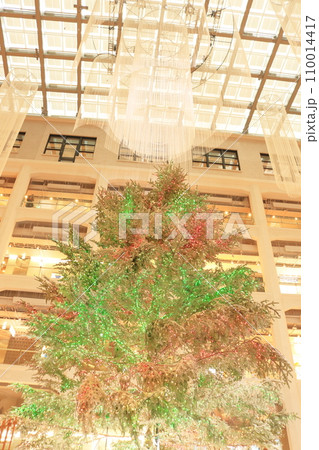 クリスマスツリーの見える風景 110014417